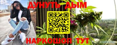 мяу мяу мука Новодвинск