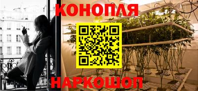 таблы Новокубанск